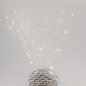 Preview: Lichtdeko 'Zweige',