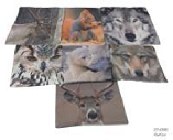 Pillow reference 40x40 ASS