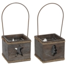 WINDLICHT 2 SORT.STERN/TANNE